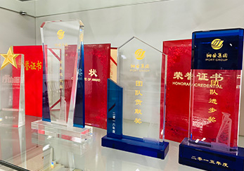 獲獎(jiǎng)獎(jiǎng)杯1