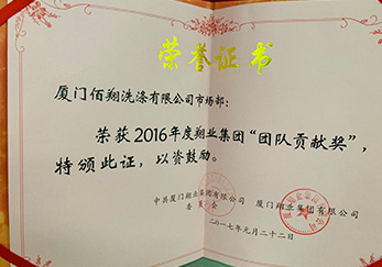 公司市場(chǎng)部榮獲2016年度翔業(yè)集團(tuán)團(tuán)隊(duì)貢獻(xiàn)獎(jiǎng)